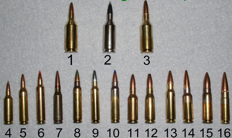 30 Remington Ar Ballistics Chart